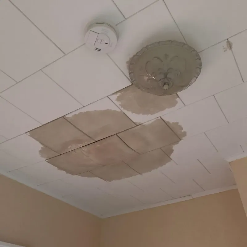 Ceiling Water Damage Repair in Appalachia, VA