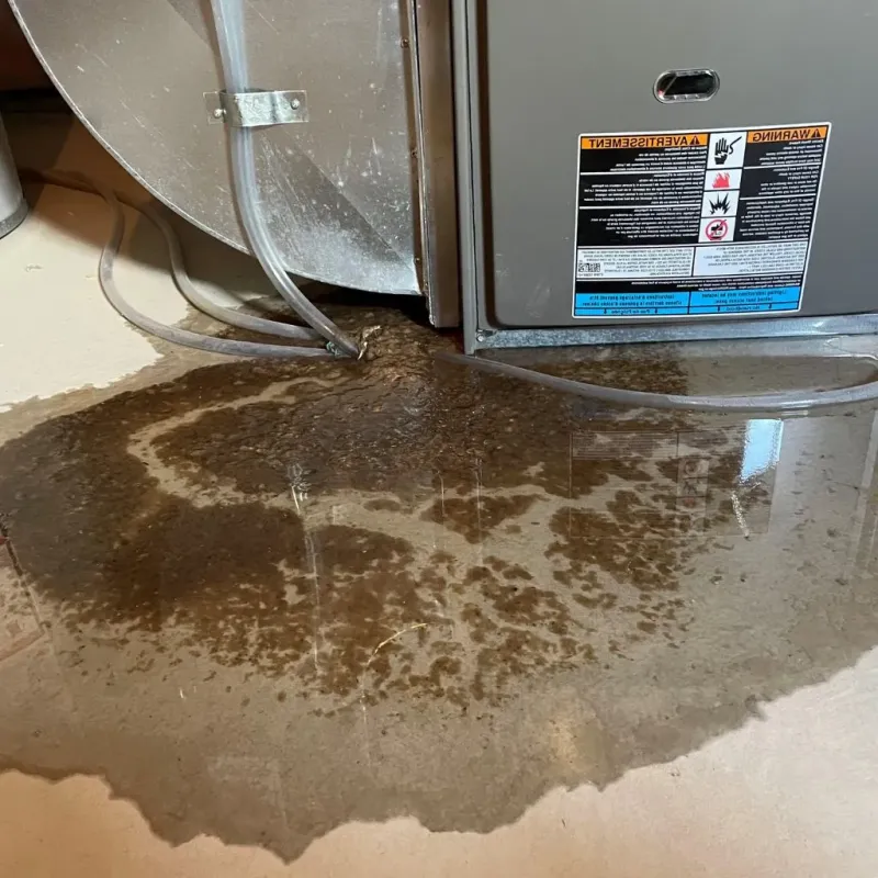 Pipe Burst and Leak Restoration in Appalachia, VA